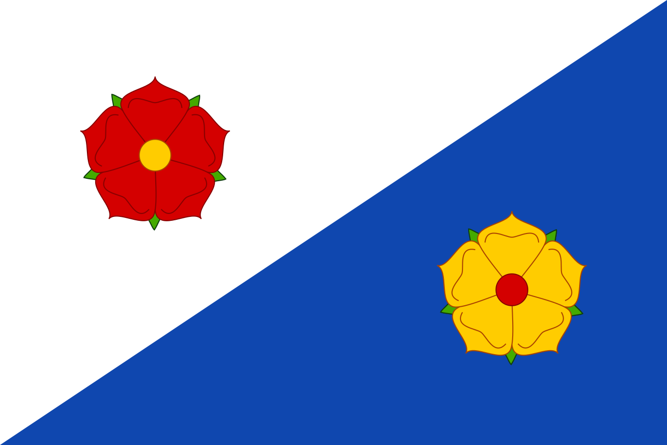 Obrázek vlajky města Černovice v rozlišení 1366x911 Kraj Vysočina  