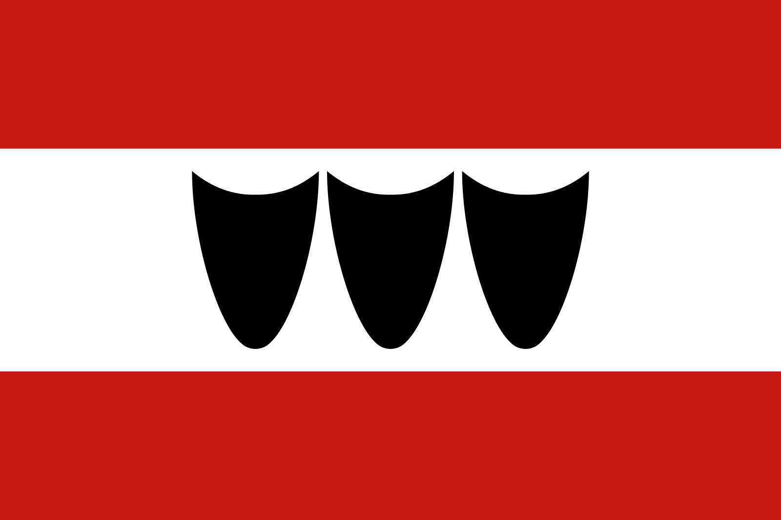 Obrázek vlajky města Třebíč v rozlišení 1600x1067 Kraj Vysočina Třebíčská vlajka 