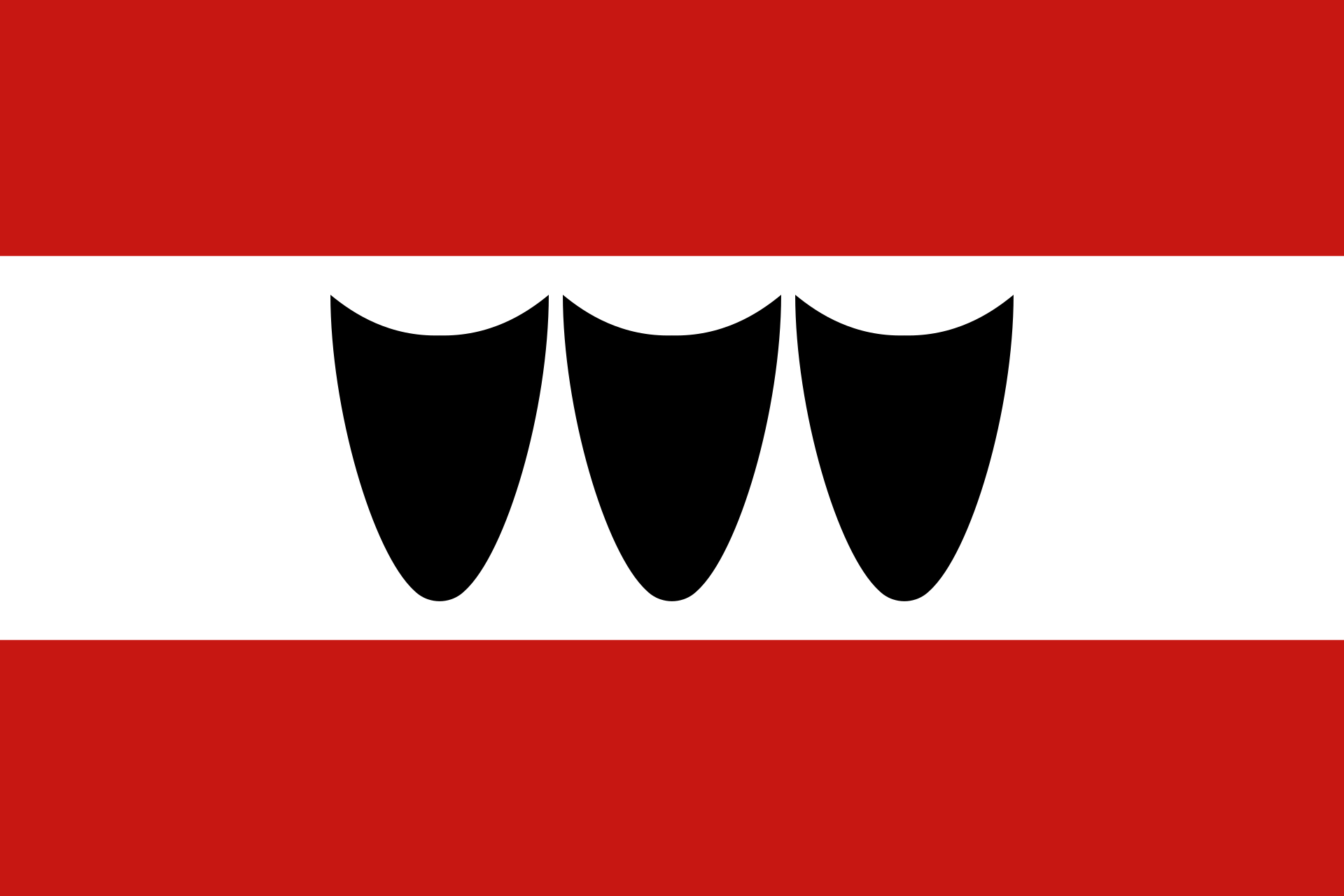 Obrázek vlajky města Třebíč v rozlišení 1920x1280 Kraj Vysočina Třebíčská vlajka 