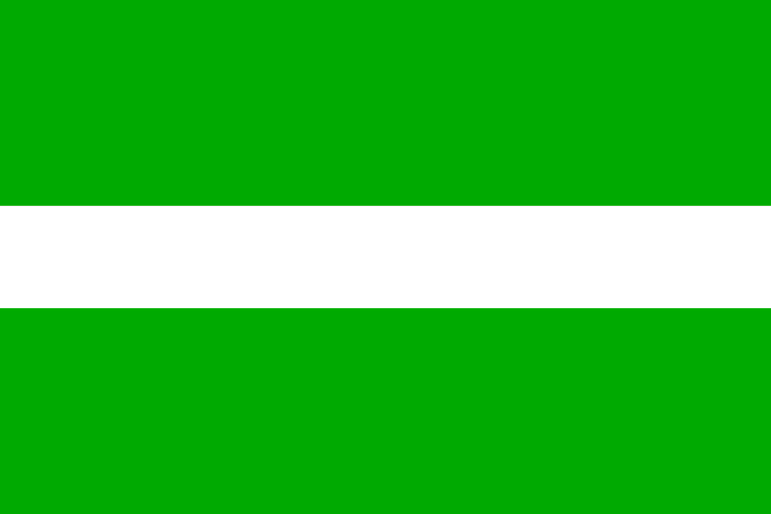 Obrázek vlajky města Dvůr Králové Nad Labem v rozlišení 2560x1707 Královéhradecký kraj Královédvorská vlajka 
