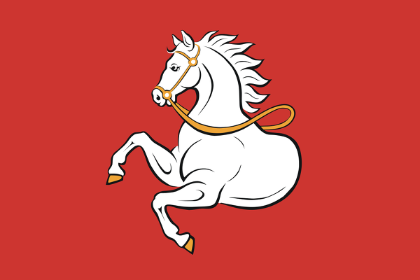 Vlajka města Pardubice | Pardubice | Pardubická vlajka | Pardubický kraj | Česká republika
